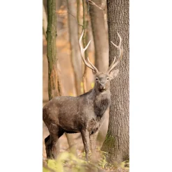 New DecoWoerner Schwer Entflammbarer Stoffbanner "Hirsch Im Wald" Aus Fahnenstoff 100 X 200 Cm braun