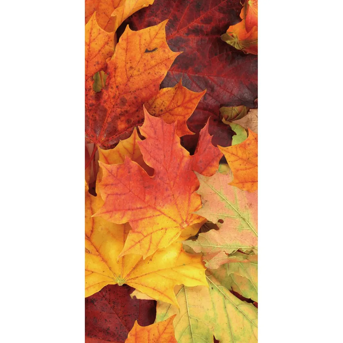 Best DecoWoerner Schwer Entflammbarer Stoffbanner "Herbstlaub" Aus Fahnenstoff 100 X 200 Cm orange