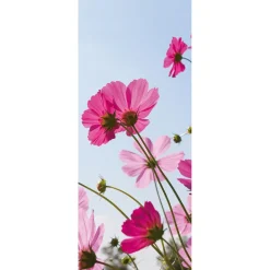 Discount DecoWoerner Schwer Entflammbarer Stoffbanner Cosmea-Blüten Aus Fahnenstoff 75 X 180 Cm rosa