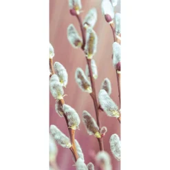 Best DecoWoerner Schwer Entflammbarer Stoffbanner Palmkätzchen Aus Fahnenstoff 75 X 180 Cm weiß