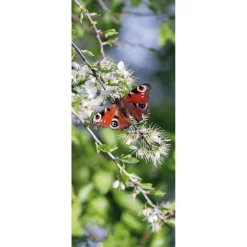 Sale DecoWoerner Schwer Entflammbarer Stoffbanner „er Schmetterling Pfauenauge“ Aus Fahnenstoff 75 X 180 Cm rot
