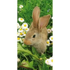 Sale DecoWoerner Schwer Entflammbarer Stoffbanner „Hase Zwischen Gänseblümchen“ Aus Fahnenstoff 100 X 200 Cm braun