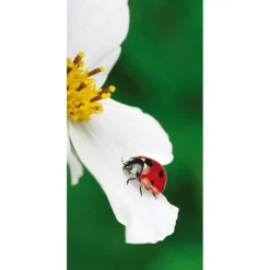 Clearance DecoWoerner Schwer Entflammbarer Stoffbanner „Marienkäfer Auf Weißer Blüte“ Aus Fahnenstoff 100 X 200 Cm rot