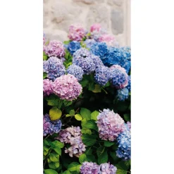 DecoWoerner Schwer Entflammbarer Stoffbanner „, Lila Und Blaue Hortensien“ Aus Fahnenstoff 100 X 200 Cm rosa