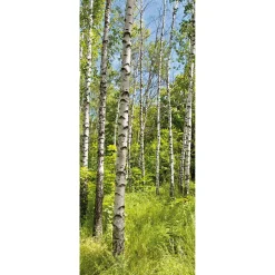 Discount DecoWoerner Schwer Entflammbarer Stoffbanner „Birkenwald Im Frühling“ Aus Fahnenstoff 75 X 180 Cm