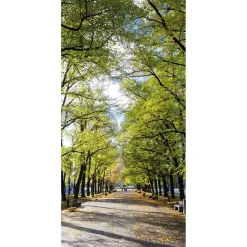 DecoWoerner Schwer Entflammbarer Stoffbanner „Allee Im Park“ Aus Fahnenstoff 100 X 200 Cm grün