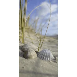 DecoWoerner Schwer Entflammbarer Stoffbanner Muscheln Im Sand 100 X 200 Cm
