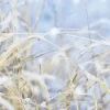 New DecoWoerner Schwer Entflammbarer Stoffbanner "Wintergräser" 75 X 180 Cm