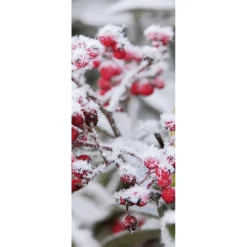 Best DecoWoerner Schwer Entflammbarer Stoffbanner "Rote Beeren" 75 X 180 Cm