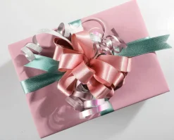 Clearance DecoWoerner Sparpaket "Geschenkbänder Pastell"