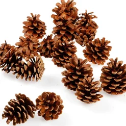 Clearance DecoWoerner Streuartikel Kiefernzapfen 1 Kg braun