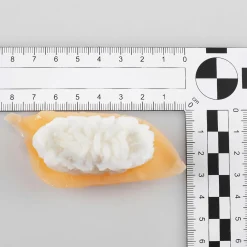 Clearance DecoWoerner Sushi-Set Lebensmittel-Attrappe, Set 4 Stück rot