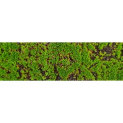 Clearance DecoWoerner Tischläufer "Moosmatte" 1 Meter grün