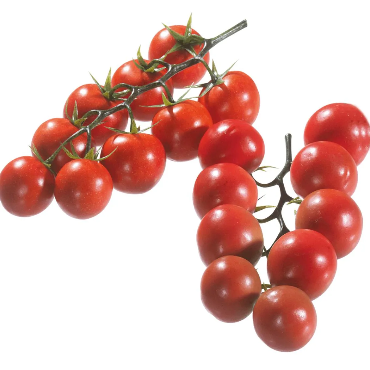 Outlet DecoWoerner Tomaten Rispen Lebensmittel-Attrappe, 2 Rispen rot