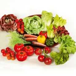 Outlet DecoWoerner Tomaten Rispen Lebensmittel-Attrappe, 2 Rispen rot