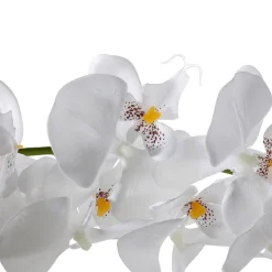 Online DecoWoerner e Künstliche Orchideen Girlande 175 Cm weiß