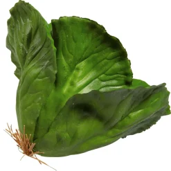 Clearance DecoWoerner Weißkohl Lebensmittel-Attrappe, 13 Cm Ø grün
