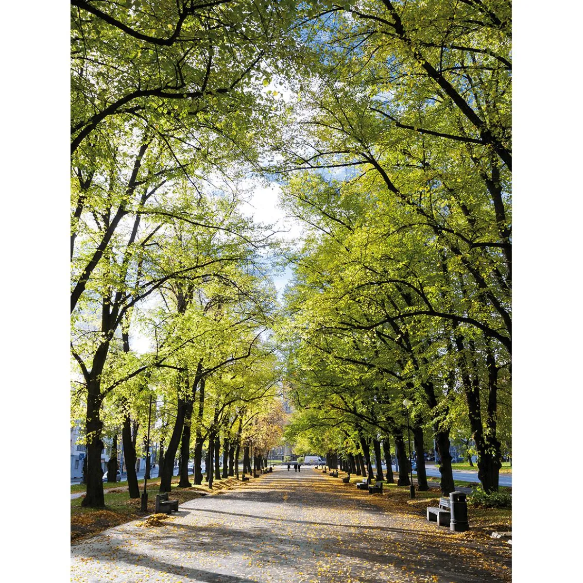 New DecoWoerner XL-Stoffbanner „Allee Im Park“ Aus Schwer Entflammbarem Fahnenstoff 150 X 200 Cm grün