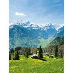 DecoWoerner XL-Stoffbanner "Alpenwiese Mit Alm" Aus Schwer Entflammbarem Fahnenstoff 150 X 200 Cm grün