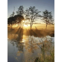 Best DecoWoerner XL-Stoffbanner "Herbstnebel" Aus Schwer Entflammbarem Fahnenstoff 150 X 200 Cm