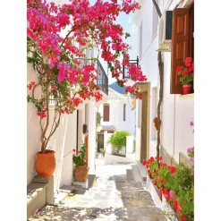 Hot DecoWoerner XL-Stoffbanner „mediterrane Gasse Mit Bougainvillea“ Aus Schwer Entflammbarem Fahnenstoff 150 X 200 Cm rosa