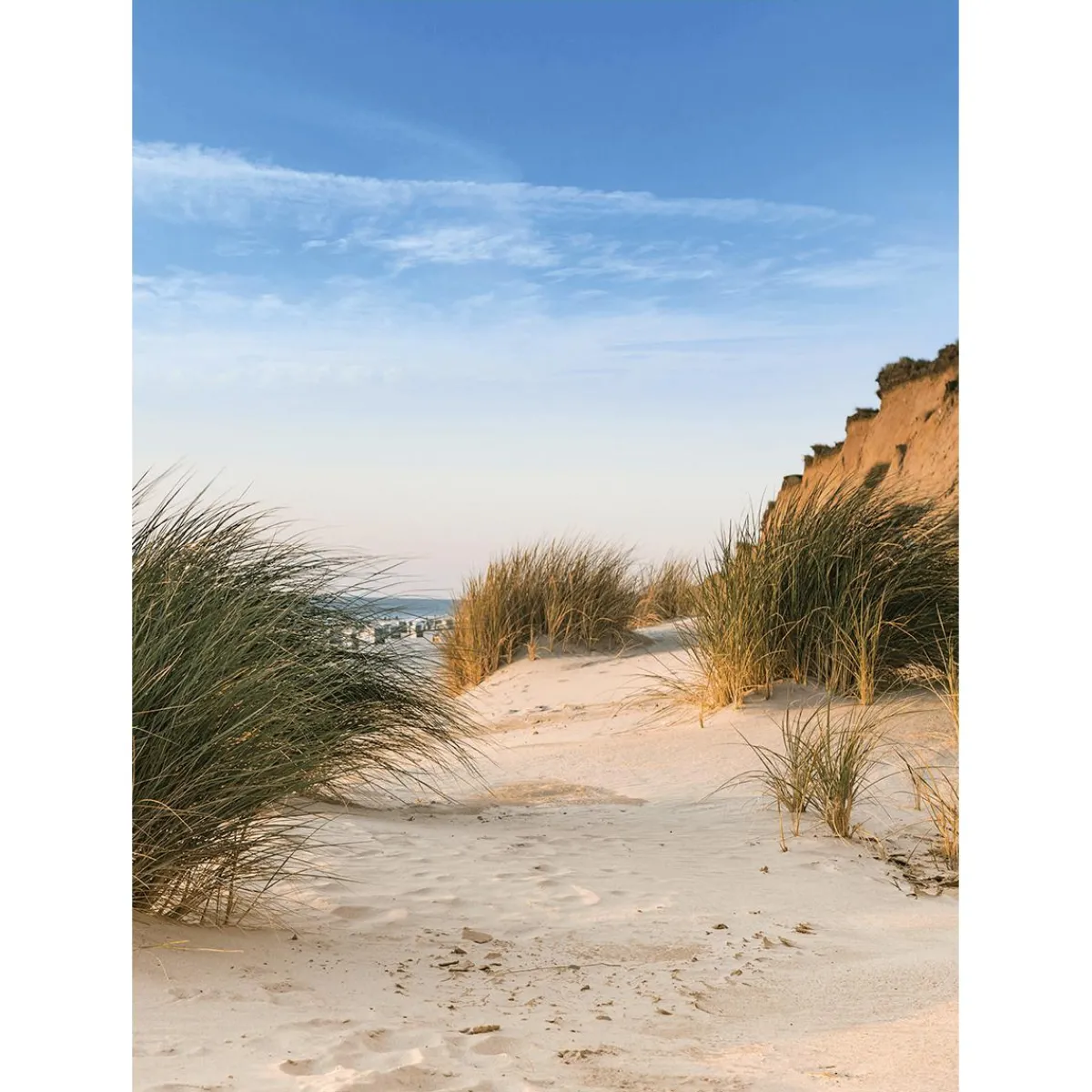 Best DecoWoerner XL-Stoffbanner "Stranddüne" Aus Schwer Entflammbarem Fahnenstoff 150 X 200 Cm blau
