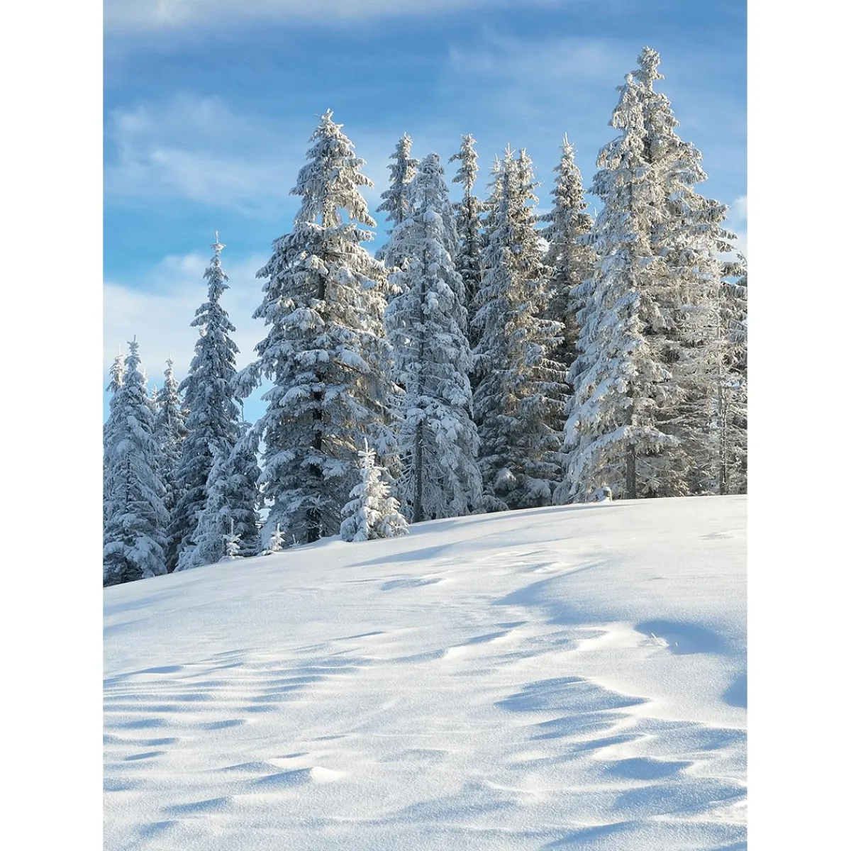 New DecoWoerner XL-Stoffbanner "Verschneiter Tannenwald" Aus Schwer Entflammbarem Fahnenstoff 150 X 200 Cm weiß