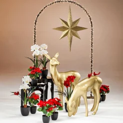 DecoWoerner XXL Deko Stern 100 Cm gold