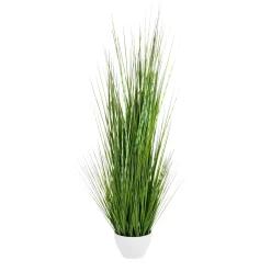 Best DecoWoerner XXL Deko-Tigergras Im Weißen Topf 120 Cm grün