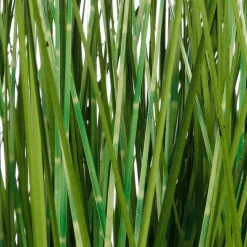 Online DecoWoerner XXL Deko-Tigergras Im Weißen Topf 150 Cm grün