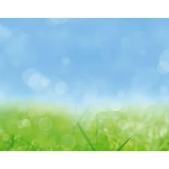 Clearance DecoWoerner XXL-Planenbanner "Frühlingswiese" Aus Schwer Entflammbarer LKW-Plane 250 X 330 Cm grün