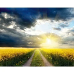 Outlet DecoWoerner XXL-Planenbanner "Rapsfeld" Aus Schwer Entflammbarer LKW-Plane 250 X 330 Cm