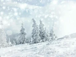 DecoWoerner XXL-Planenbanner "Schneelandschaft" Aus Schwer Entflammbarer LKW-Plane 250 X 330 Cm weiß