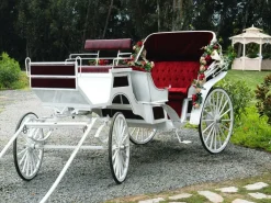 Best DecoWoerner XXL-Planenbanner "e Hochzeitskutsche" Aus Schwer Entflammbarer LKW-Plane 300 X 400 Cm weiß