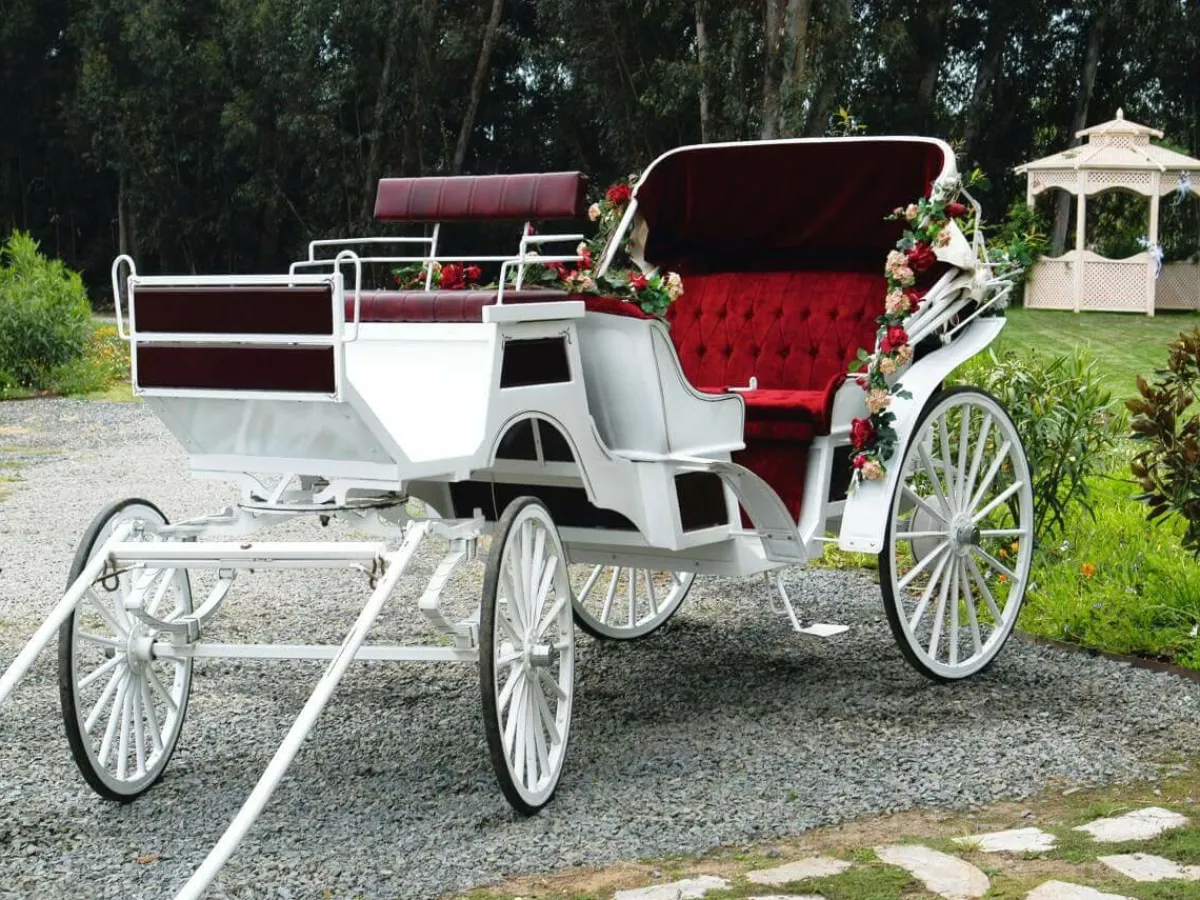 Best DecoWoerner XXL-Planenbanner "e Hochzeitskutsche" Aus Schwer Entflammbarer LKW-Plane 300 X 400 Cm weiß