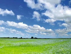 Discount DecoWoerner XXL-Planenbanner "Wiese Und Wolkenhimmel" Aus Schwer Entflammbarer LKW-Plane 250 X 330 Cm grün