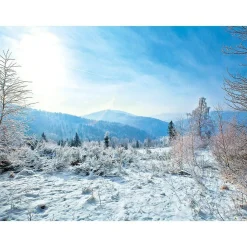 Best DecoWoerner XXL-Planenbanner "Winterlandschaft" Aus Schwer Entflammbarer LKW-Plane 250 X 330 Cm weiß