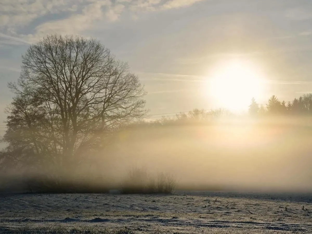 Online DecoWoerner XXL-Planenbanner "Winternebel" Aus Schwer Entflammbarer LKW-Plane 250 X 330 Cm Grau