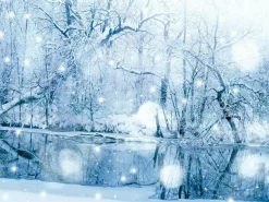 Best DecoWoerner XXL-Planenbanner "Wintersee" Aus Schwer Entflammbarer LKW-Plane 250 X 330 Cm weiß